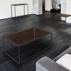 able de salon avec un cadre en acier peinture noire epoxy et plateau en verre sepia