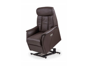 fauteuil releveur eden plus