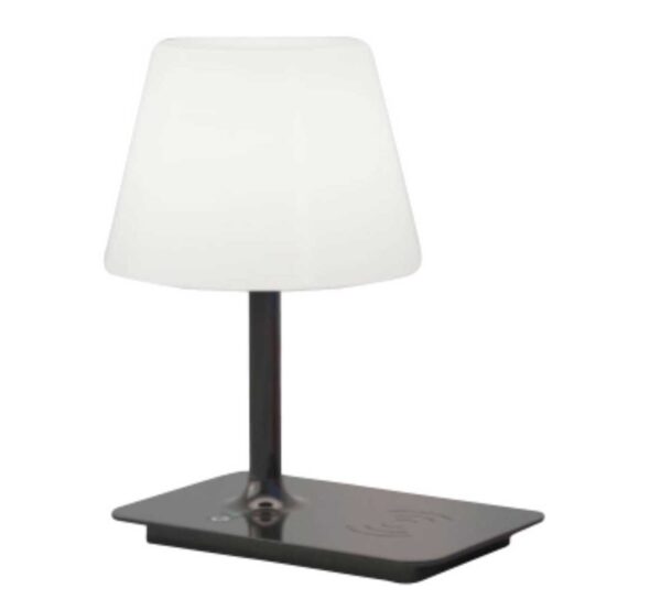 Lampe de table LED. Utilisation pour intérieur et extérieur. Rechargeable USB
