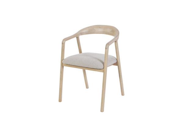 Lot de 2 chaise TYLER